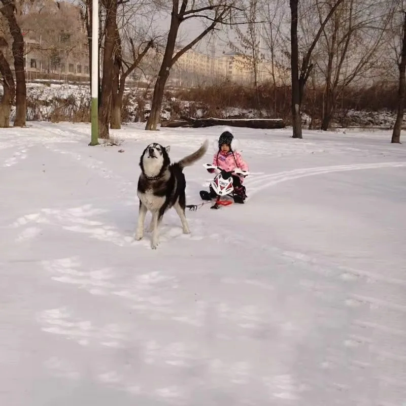 Winter Outdoor Ski Equipment – - Outdoor Adventure Resorts recension och pris